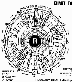 Iridologie (1)