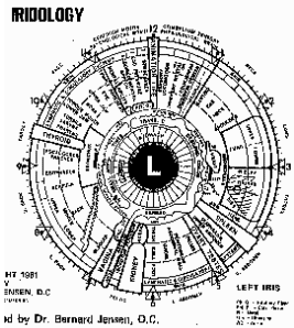 Iridologie (2)